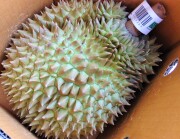 超特大ドリアン