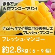 ナムドクマイマンゴー　約2.8Kg（6～9個）