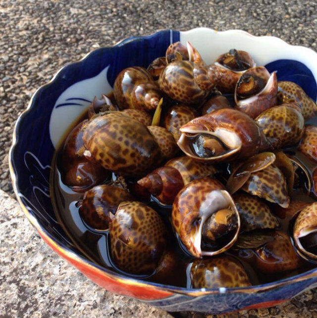 黒バイ貝 400g煮付け冷凍 無添加 山形県庄内浜産 貝 魚介 海鮮 黒バイ