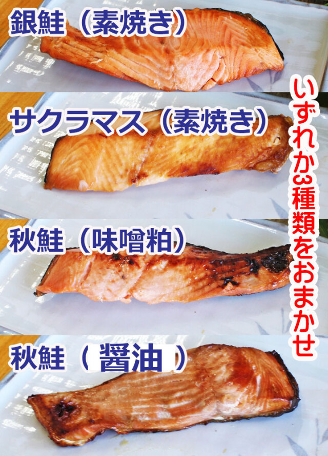 サーモン様　4点まとめ サーモン様 4点まとめ Amazon | 【セット買い】Amazon.co.jp限定