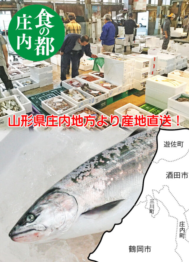 鮮魚