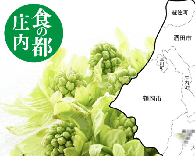 山菜ふきのとう