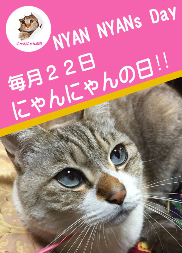 にゃんにゃん にゃんにゃん