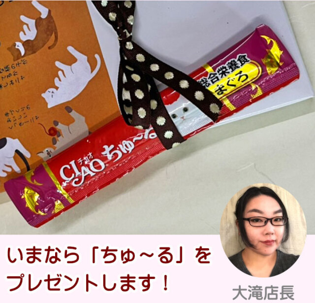 【新品未使用品】にゃんにゃんにゃんこ　2004年記念箱　にゃんこ温泉ギフト にゃんにゃんニャンコ 2004年記念箱 ニャンコ温泉ギフト