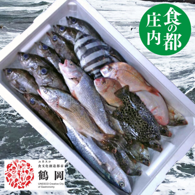 鮮魚