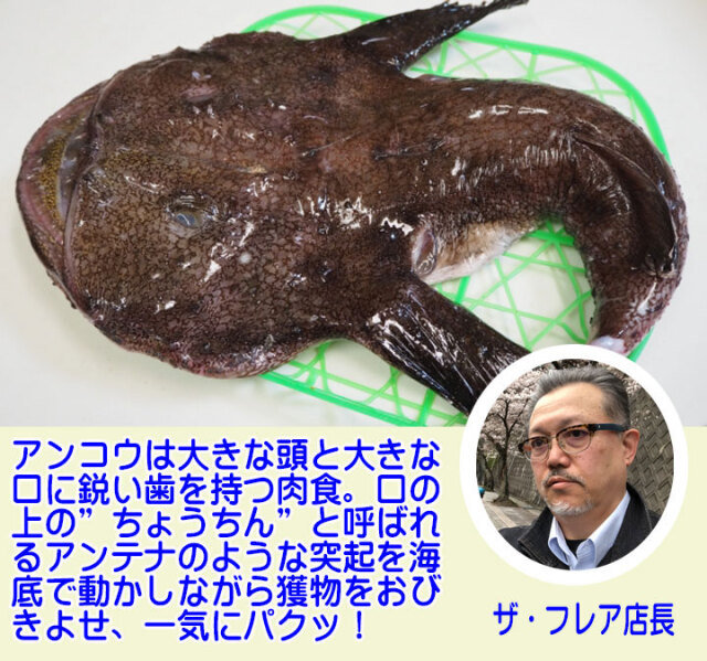 あんこうページ① s-l400.jpg