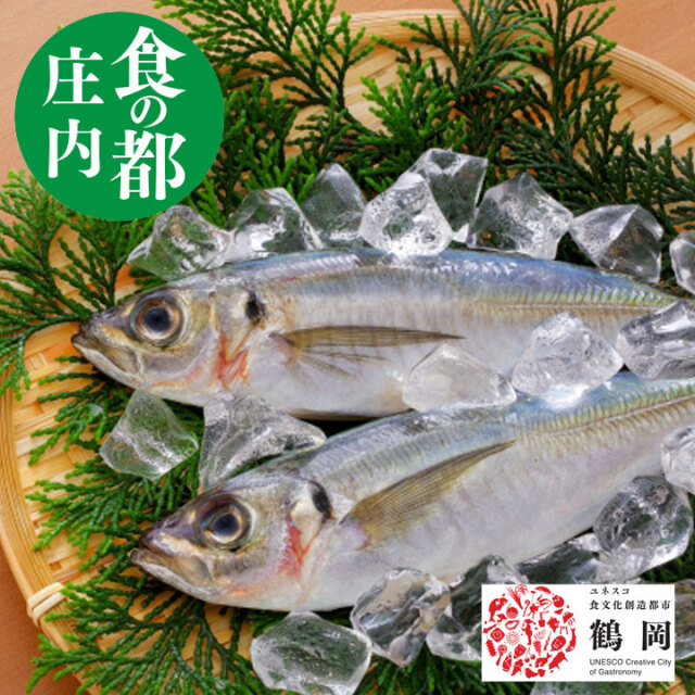 鮮魚