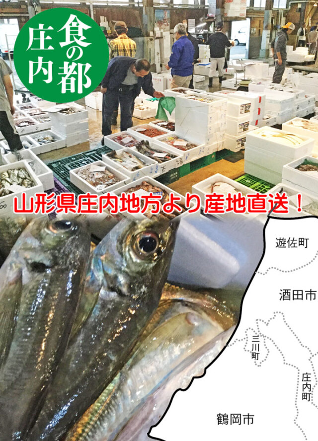 鮮魚