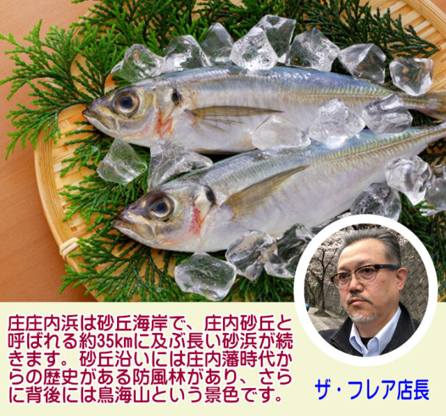 鮮魚