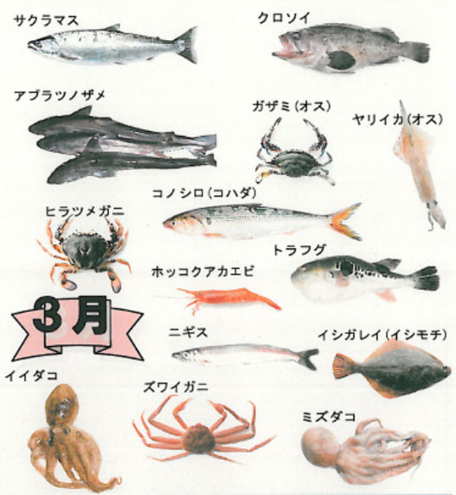 鮮魚