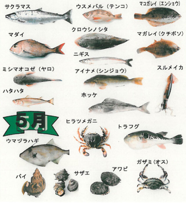 鮮魚