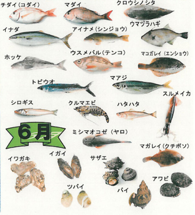 鮮魚