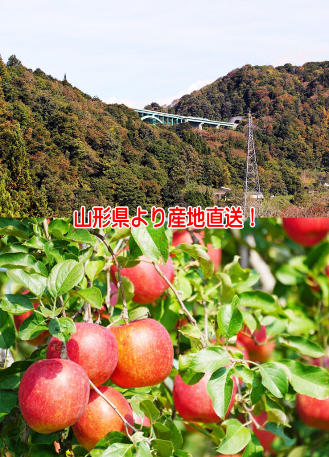 りんご コーシン乳業 コーシン乳業 ストレート青森県産りんご100