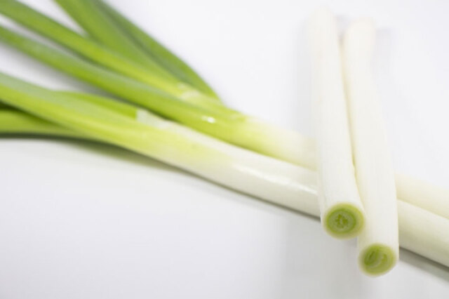 軟白ねぎ 1箱12袋入 山形県庄内産 新鮮 地物野菜 葱 促成栽培 長