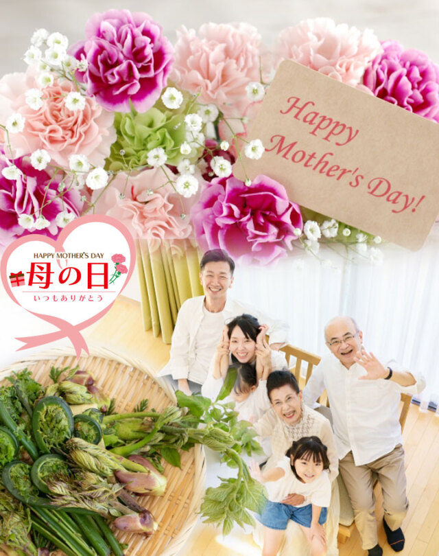 母の日】【山菜】【山菜セット】おまかせ1kg（6種類以上）山形県産