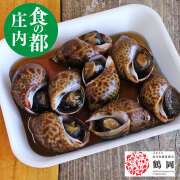 黒バイ貝