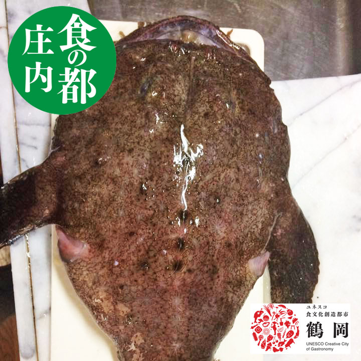 鮮魚