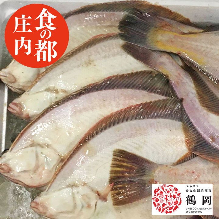 鮮魚