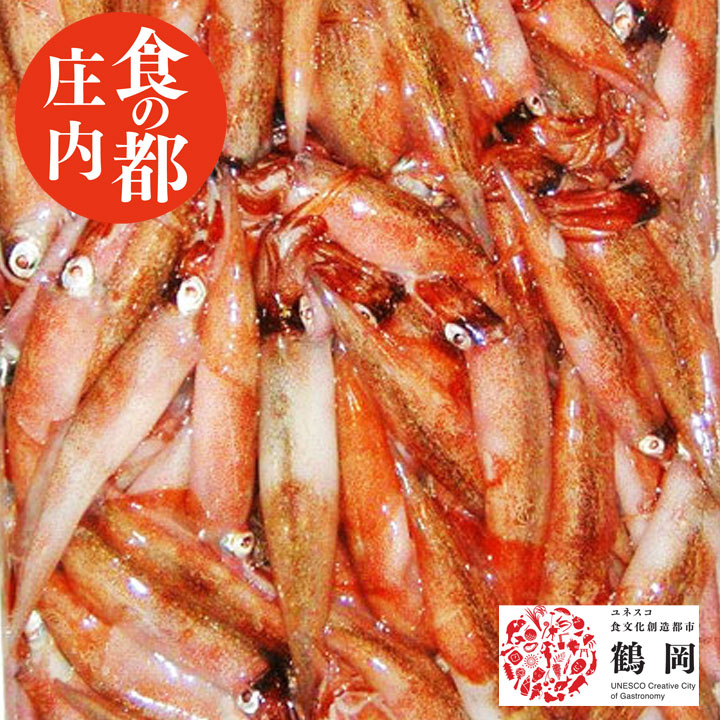 鮮魚