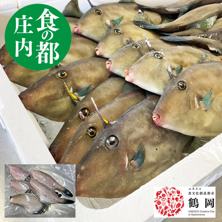 鮮魚