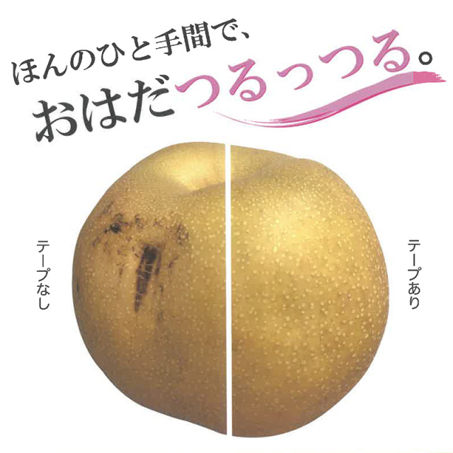 テープ類
