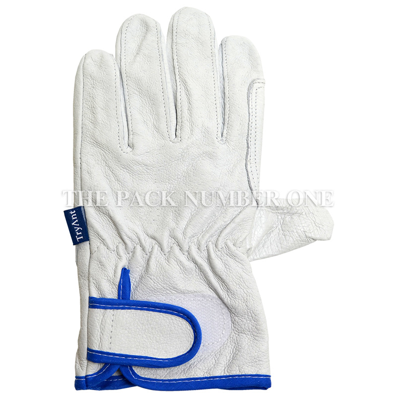 TryAnt トライアント 手袋 革手袋 豚革クレスト バンド式 TA-538 10双