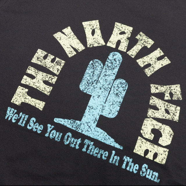 THE NORTH FACE】(ザ・ノースフェイス) S/S FD CACTUS LOGO TEE