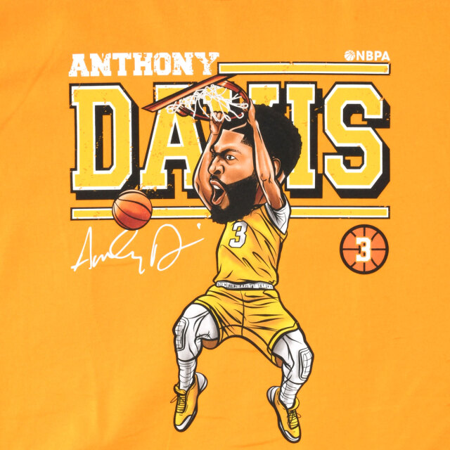 アンソニーデイビス NBAカード 49シリ アンソニーデイビス NBAカード 49シリ