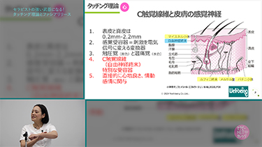 【TNCC】小澤智子のセラピストの強い武器になる！タッチング理論とファシアリリース