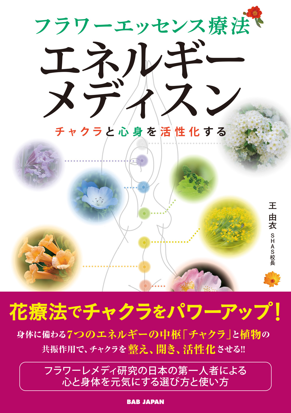 バッチフラワーエッセンス事典 バッチフラワ-エッセンス事典: 花の力で癒す | ゲッツ ブローメ