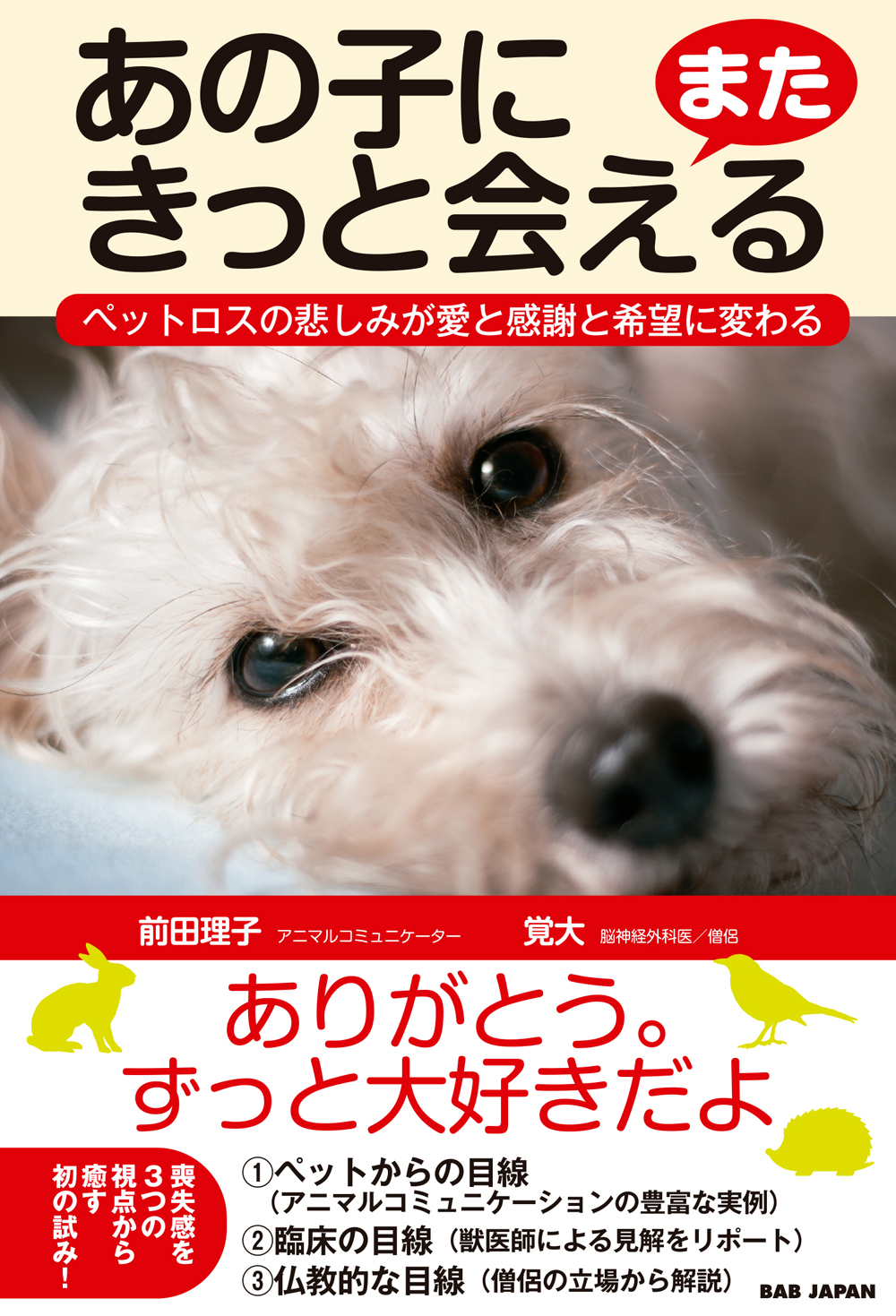 書籍　あの子にまたきっと会える