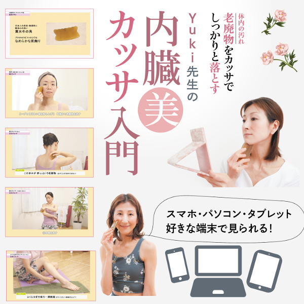 デジタル版　Yuki先生の「内臓美カッサ入門」