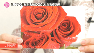 TNCC お花で自分探し「花セラピー体験講座」