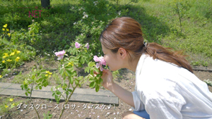 TNCC 生活の木「薬香草園」〜彩り豊かなハーブを動画で学習！〜