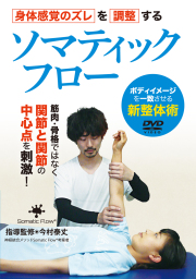 整体
