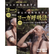 お買い得DVDパック