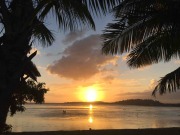 【9月24日開催】  (TNCC本科会員価格） 南太平洋フィジーのハーブ活用術