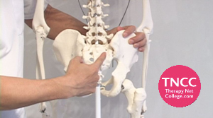 TNCC 誉田雅広の「JPバランス療法」