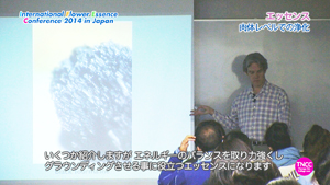 TNCC スティーブ・ジョンソンの「フラワーエッセンスで私たちの内側と外側を癒す」