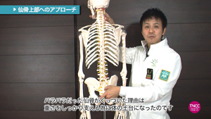 これだけは押さえておきたい 解剖生理学講座DVD　セラピスト必見 すぐに使える！ これだけは押さえておきたい 解剖生理学講座DVD セラピスト必見