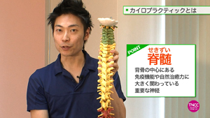 TNCC 射水徹の「はじめてのカイロプラクティック」