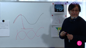 TNCC 「トラウマ・セラピー」入門セミナー