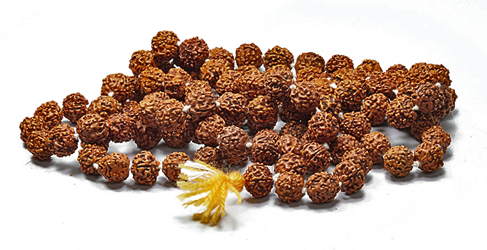 大特価!金剛菩提樹＝ルドラクシャの約10mm   2      【天然石・パワーストーン】