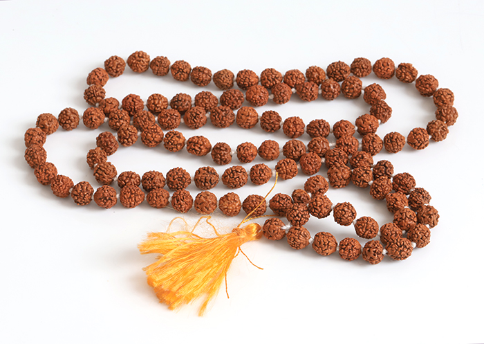 大特価!金剛菩提樹＝ルドラクシャの約8mm  2　　　　　　【天然石・パワーストーン】