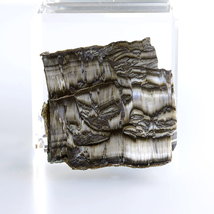 限定!アリゾナ・ピーターサイト（シルキーサーペンティン）のスライス　 　No2  　45×43mm