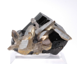 限定!ナミビア産ブラックトルマリンの原石　   /10月 【パワーストーン・天然石】