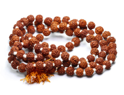 大特価!金剛菩提樹＝ルドラクシャの約6mm  2    【天然石・パワーストーン】