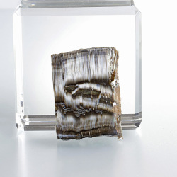 限定!アリゾナ・ピーターサイト（シルキーサーペンティン）のスライス　 　No5  　36×26mm