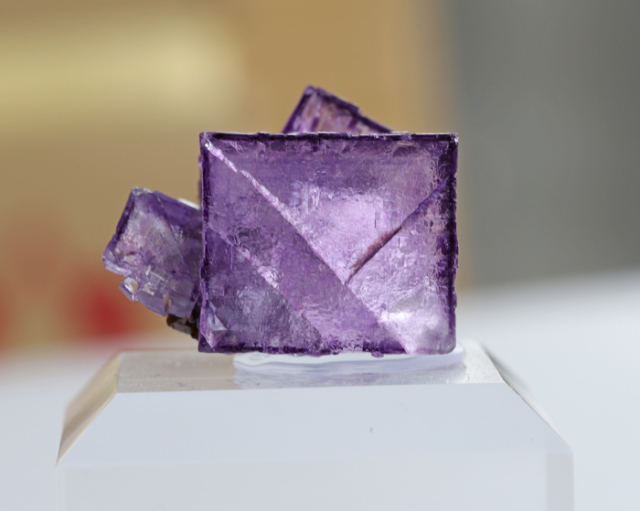 アメリカ エルムウッド フローライト