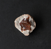 限定!激安!貴重なノジュールオパールの原石  11   /10月    【天然石・パワーストーン】